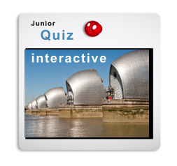 interactive Junior  Quiz