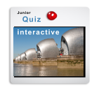 interactive Junior  Quiz